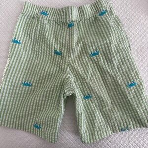 Seersucker Green Striped Kids Shorts
